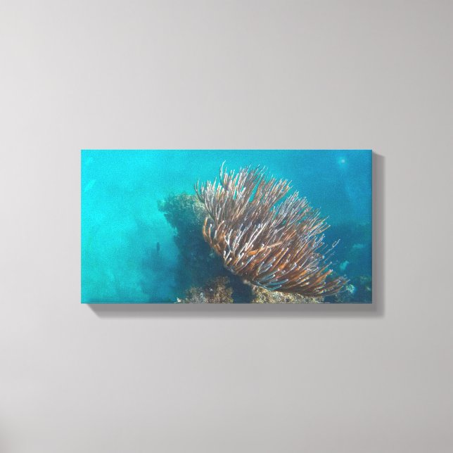 CORAL NA CANVAS 20 "x 16" (Frente)