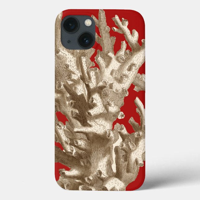 Coral pequeno em vermelho (Verso)