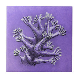 Coral Reef Roxo Marinha Arte