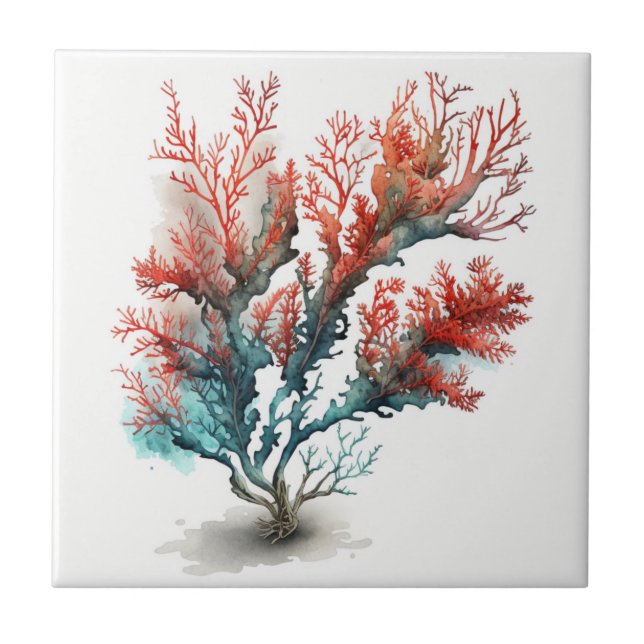 Coral Vermelho, Aquarela, Azulejo cerâmico (Frente)