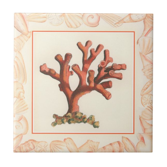 Coral Vermelho com Borda Conch Shell (Frente)