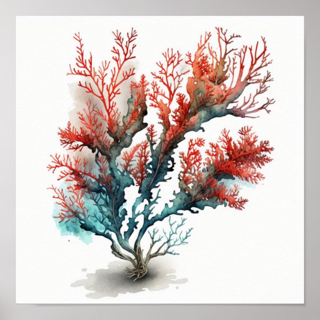Coral vermelho em poster de aquarela (Frente)