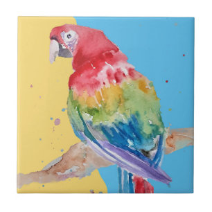 Corante Colorido Macaw Aquarela Azulejo cerâmico