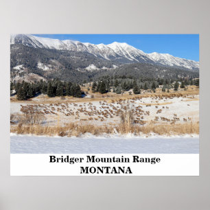 Cordilheira Bridger em Montana Poster