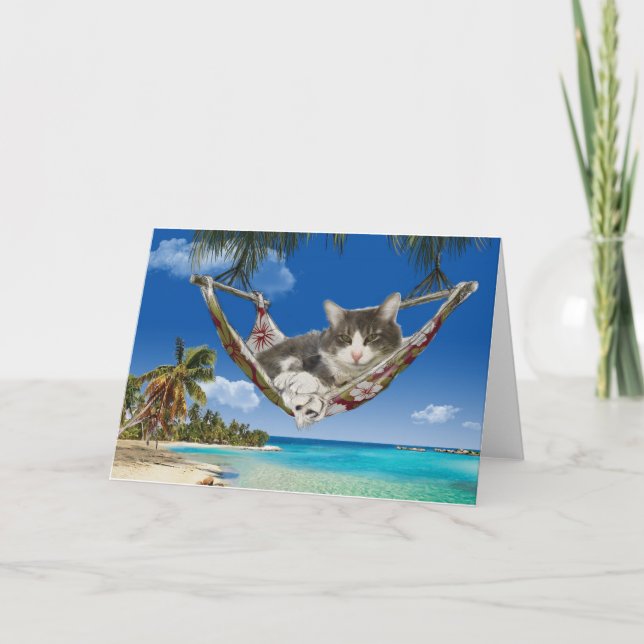 Corduroy no Caribe, gato no cartão hammock (Frente)