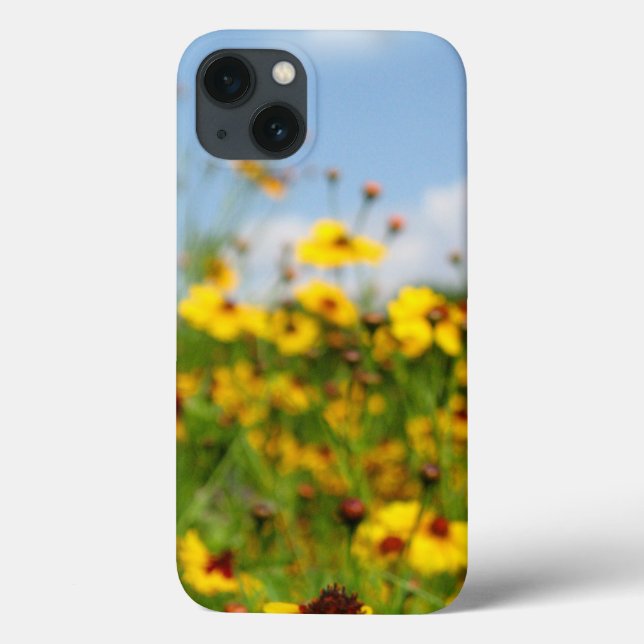 Coreopsis Wildflower Meadow (Verso)