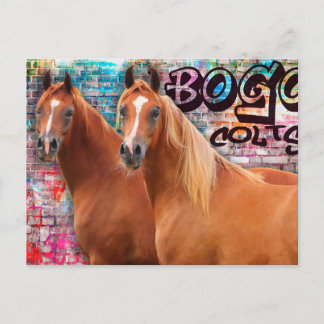 Cores BOGO - Cartão de Posto de Grafite - Cavalos