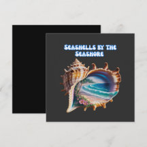 Cores Comuns de Conchas Marinhas