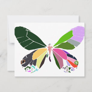cores da borboleta