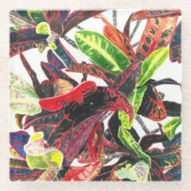 Cores de Água de Folhagem de Vibração Única