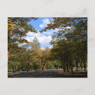Cores de outono... Cartão Postal