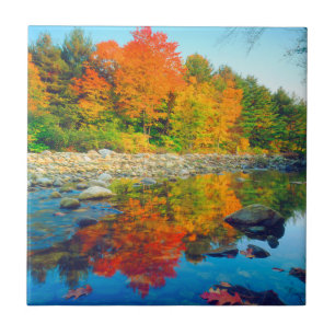 Cores de outono refletidas em um riacho em Vermont