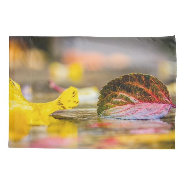 Cores de queda (Verso)