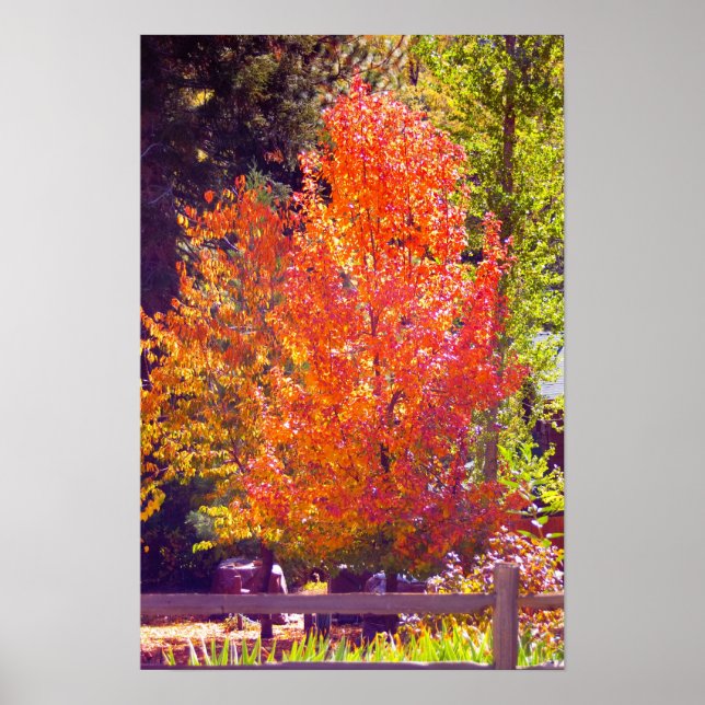 Cores de queda 2 Poster (Frente)