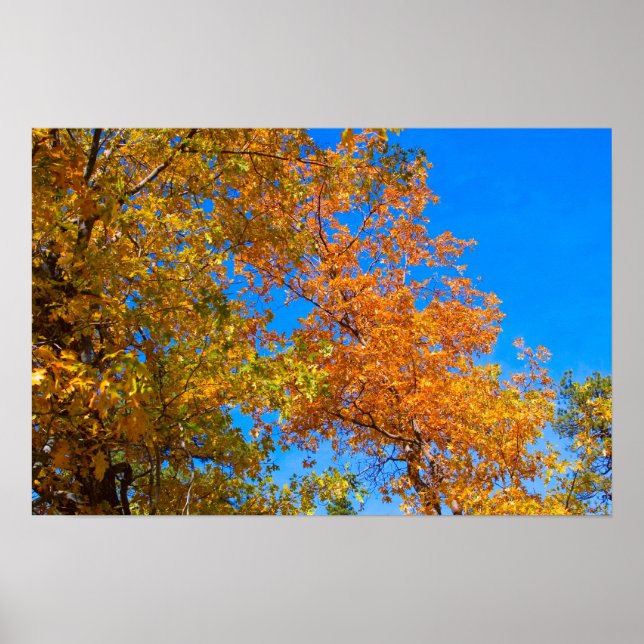 Cores de queda 3 Poster (Frente)