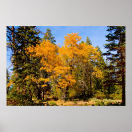 Cores de queda 5 Poster