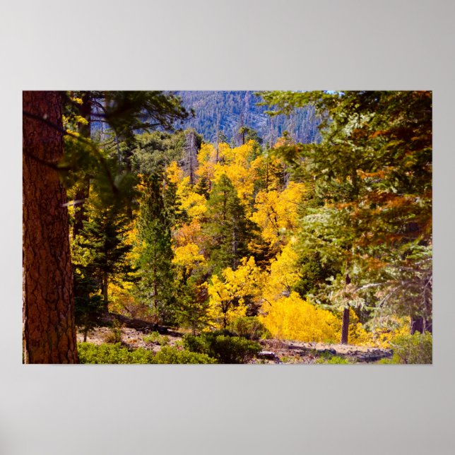 Cores de queda 6 Poster (Frente)