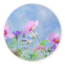 Cores delicadas das flores bonito