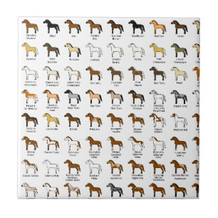 Cores do cavalo