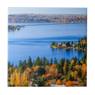 Cores esplêndidas da queda em Bellevue