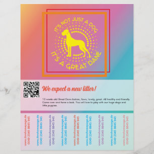 Cores vibrantes que vendem folheto