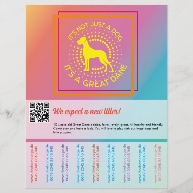 Cores vibrantes que vendem folheto (Frente)