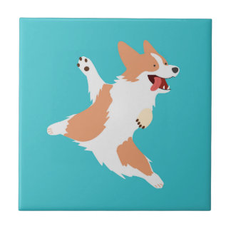 Corgi Brincalhão
