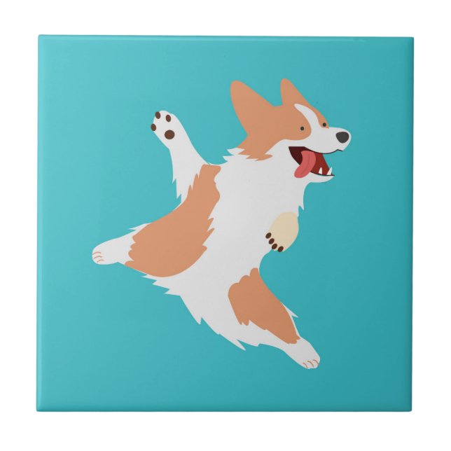 Corgi Brincalhão (Frente)