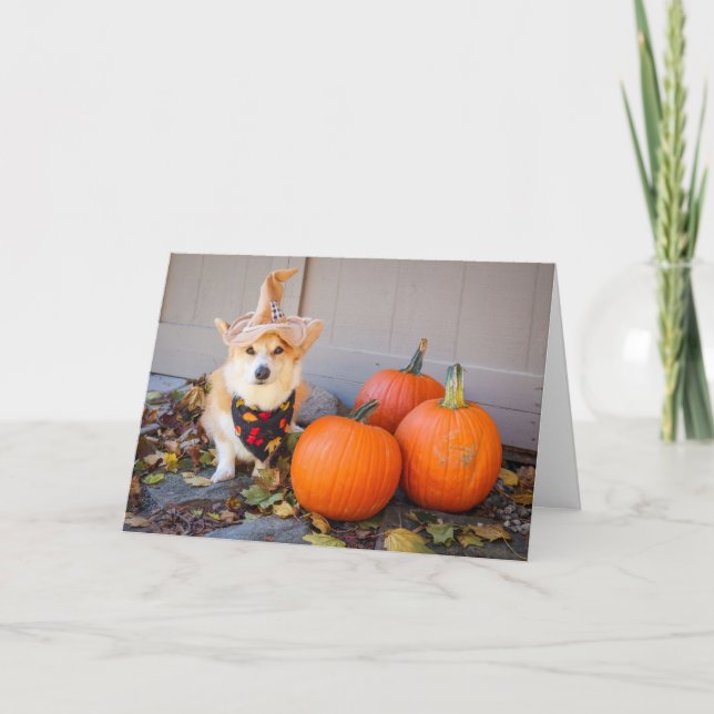 Corgi com Cartão de Ação de Graças de Pumpkin (Frente)