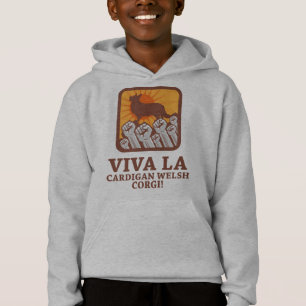 Corgi de Galês do casaco de lã