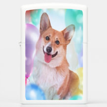 Corgi de sorriso de Galês com balões