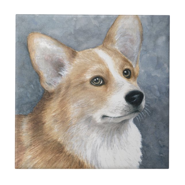 Corgi do cão 89 (Frente)