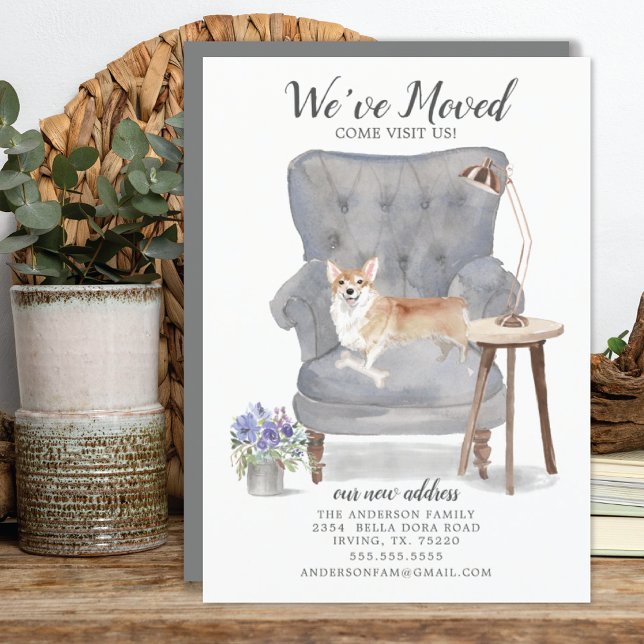 Corgi Dog | Anúncio de mudança (Criador carregado)