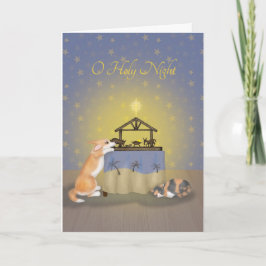 Corgi e gato com cartão natalino