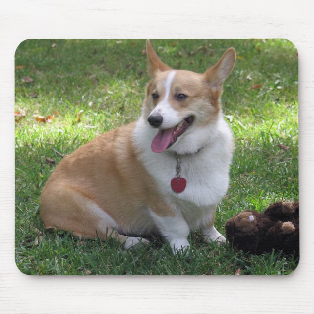 Corgi Mousepad (Frente)