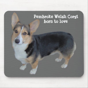 Corgi Mousepad com alma de Galês do Pembroke