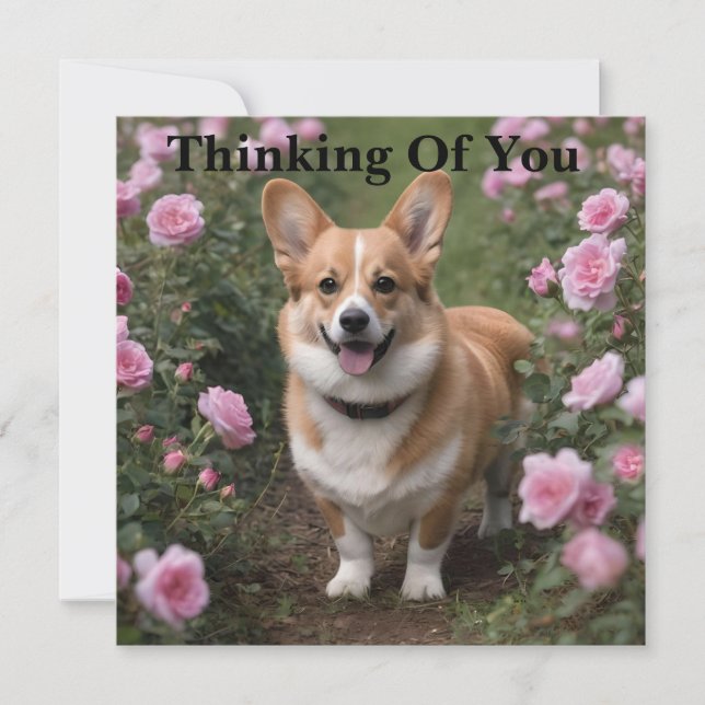 Corgi Nas Rosas Rosa, Pensando Em Você (Frente)