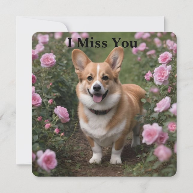 Corgi Nas Rosas Rosa, Sinto Sua Falta (Frente)