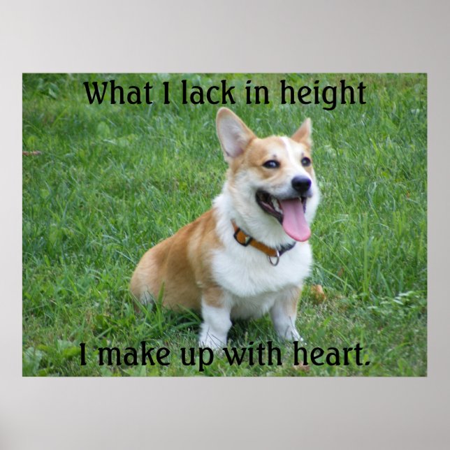 Corgi Poster (Frente)