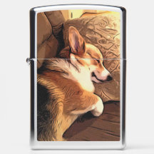 Corgi sonolento de Galês
