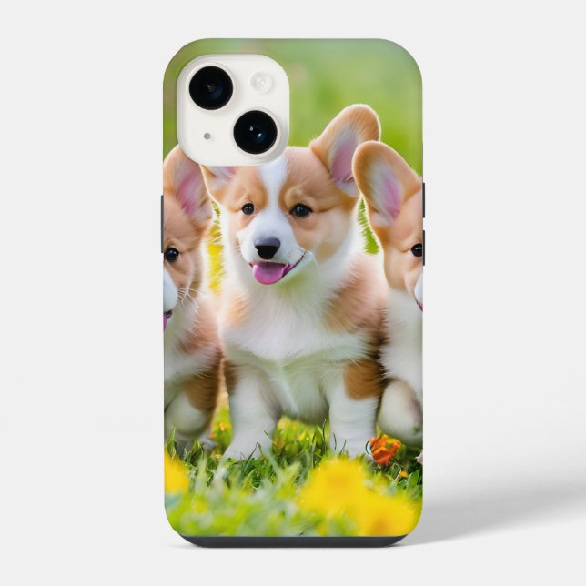 Corgies brincando na grama (Verso)