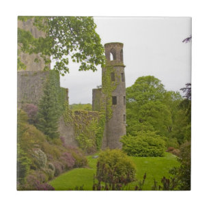 Cork, Irlanda. O infame Castelo Blarney 2