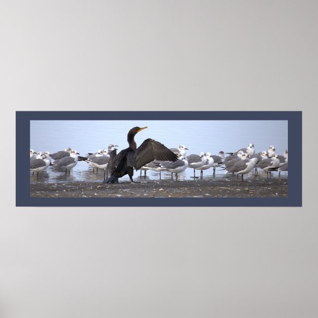 Cormorant with Seagulls Poster (Frente)