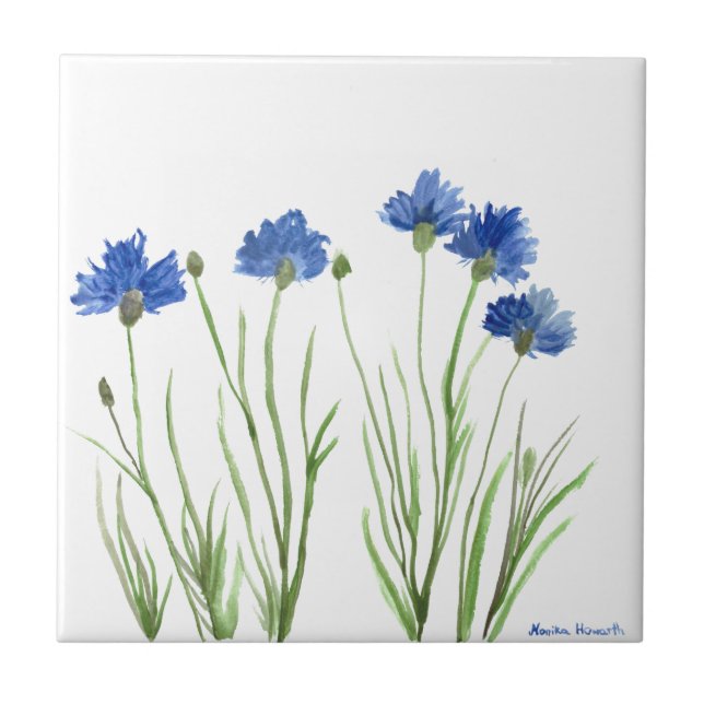 Cornfloris azul aquarela floral gema (Frente)