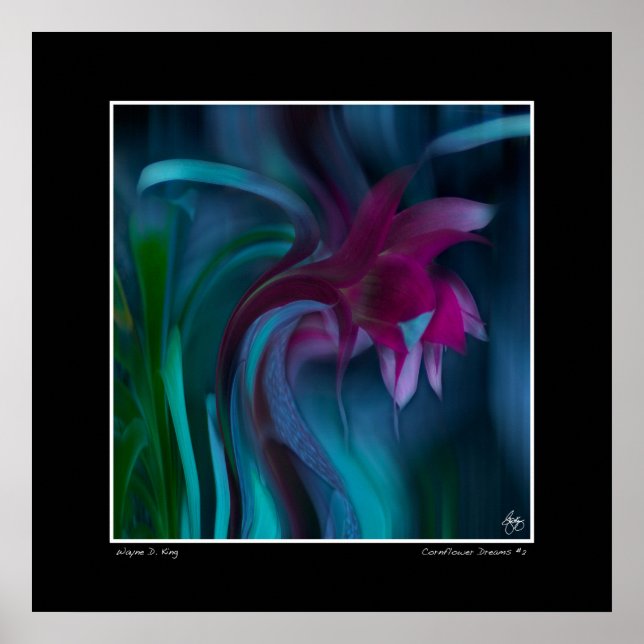 Cornflower Dreams #2 Poster (Frente)