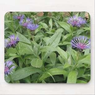 Cornflower Mousepad