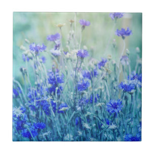 Cornflowers