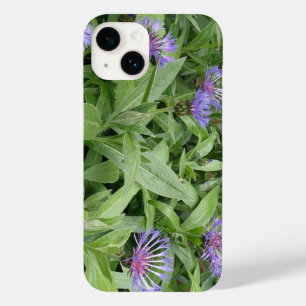 Cornuflores