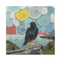 Cornwall Chough
