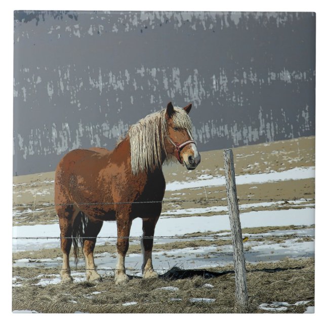 Coroa Belga - Azulejo Cerâmico De Paddock (Frente)